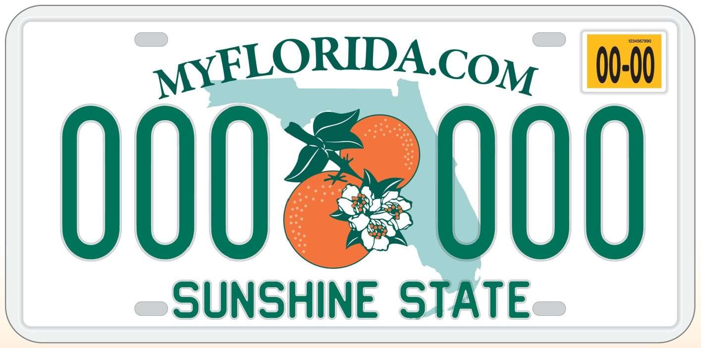 Requirements to obtain new license plates in Florida and rates in 2024