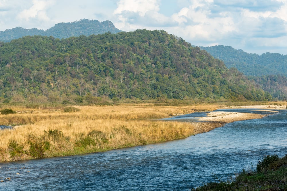 ¿Qué sabemos sobre el Terai-Duar, la sabana en las estribaciones del Himalaya? » CienciaABC