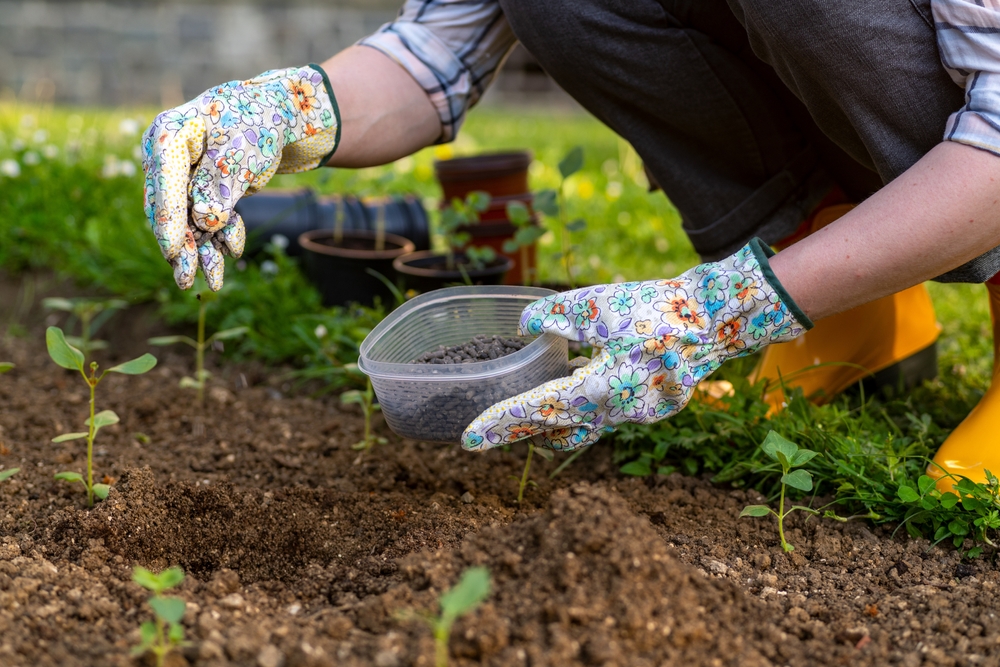 ¿Se pueden utilizar los excrementos humanos como estiércol agrícola? » CienciaABC